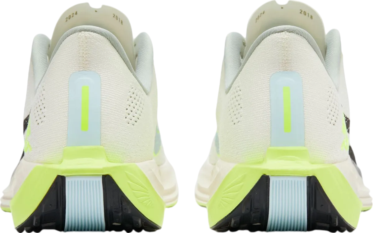 Nike Pegasus Plus