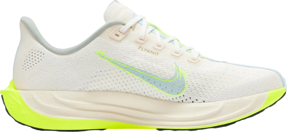 Nike Pegasus Plus