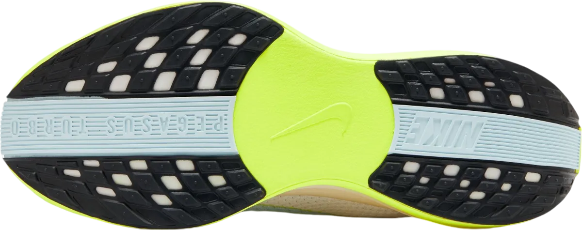 Nike Pegasus Plus